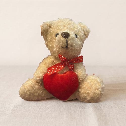 Peluche Osito Teddy