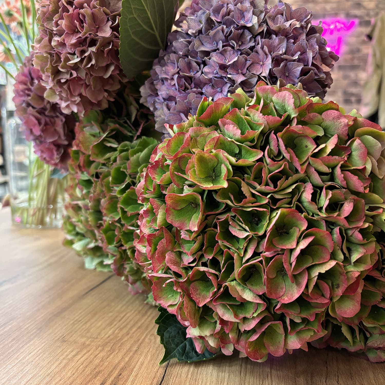 Ramo de hortensias en tonos otoñales de color borgoña, mostaza y verde seco presentado sobre un fondo neutro.