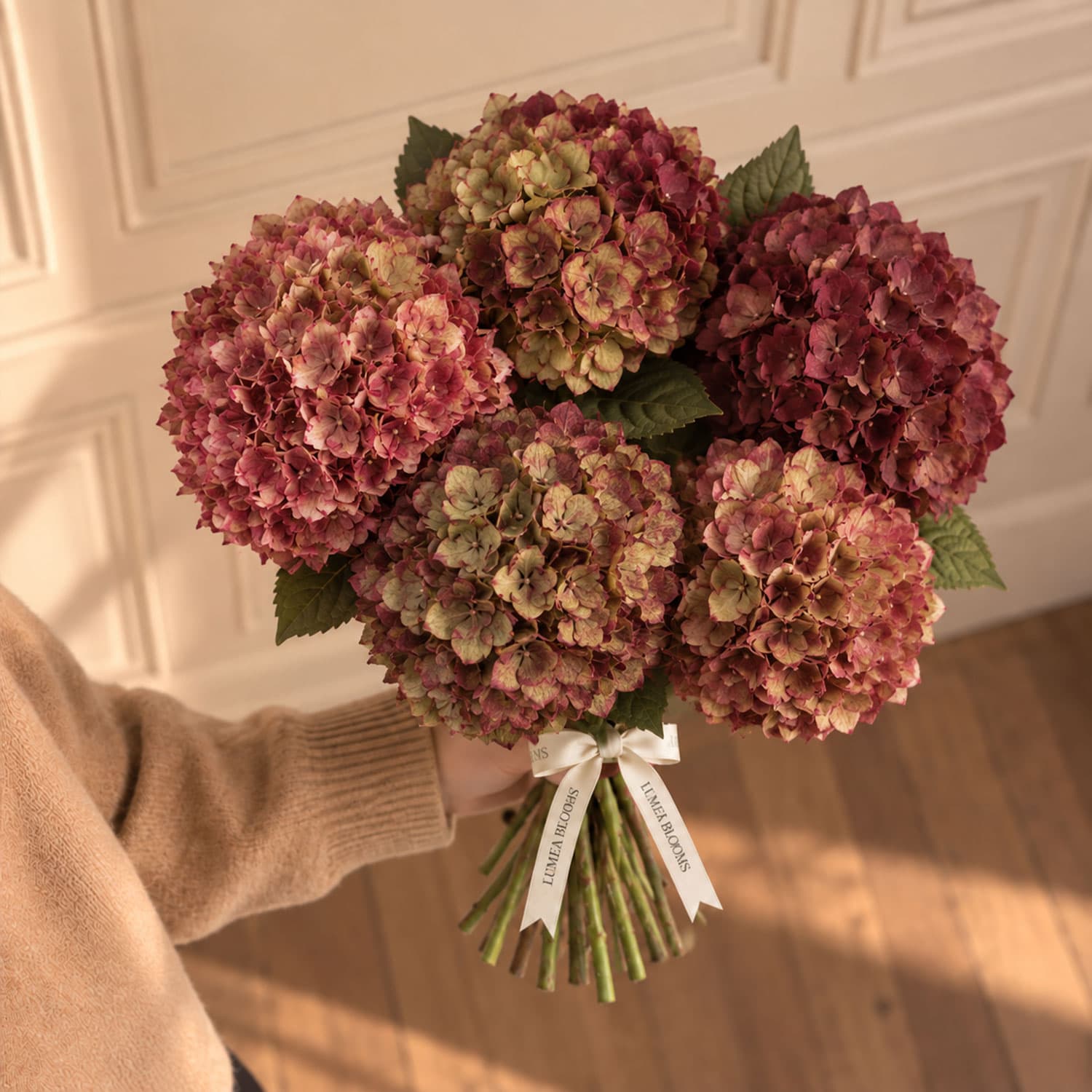 Arreglo floral de hortensias otoñales de temporada sobre fondo neutro listo para envío a domicilio.