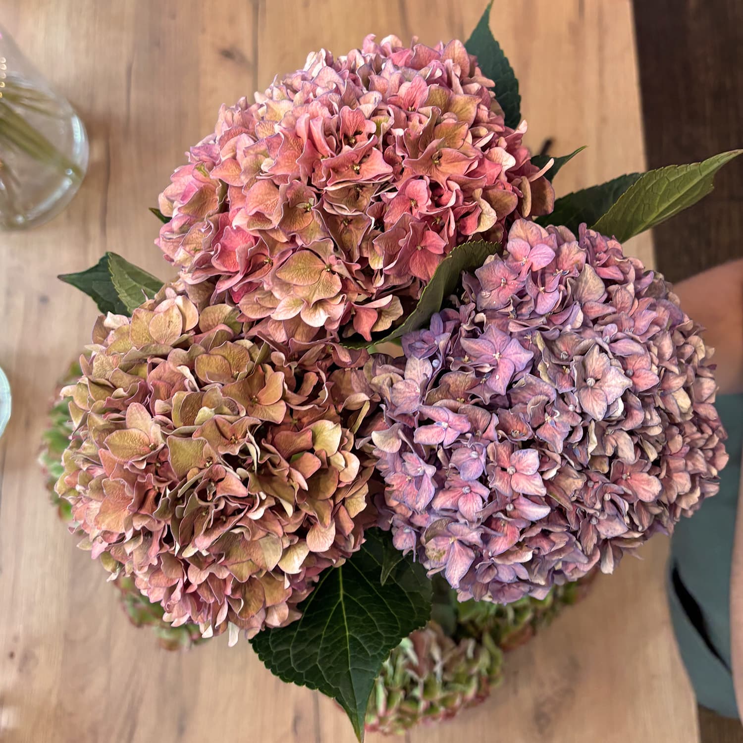 Ramo de hortensias de otoño