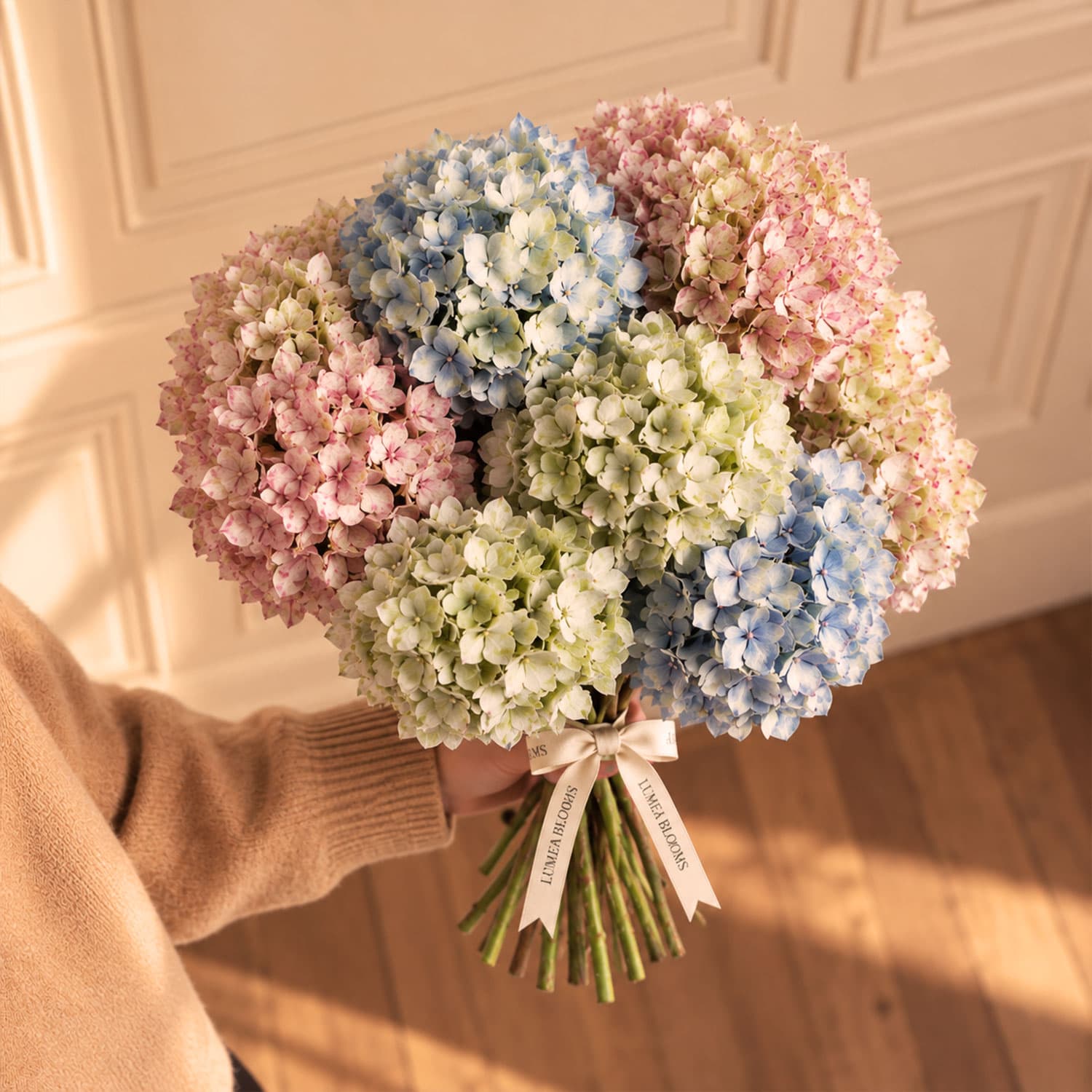 Hydrangea bouquet