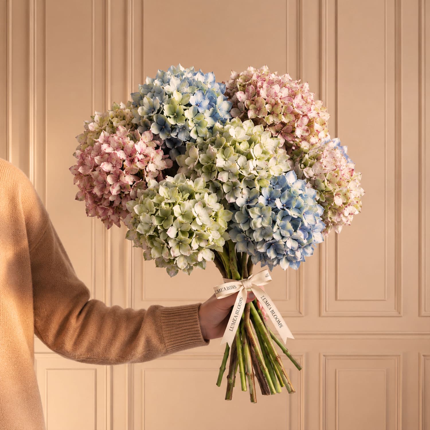 Hydrangea bouquet