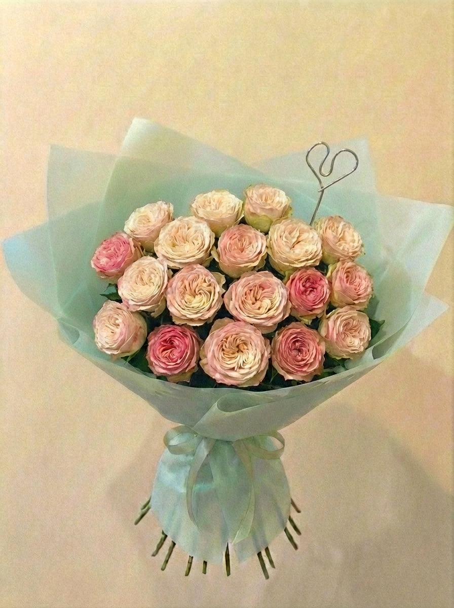 Rosas de Jardín "Felicity"