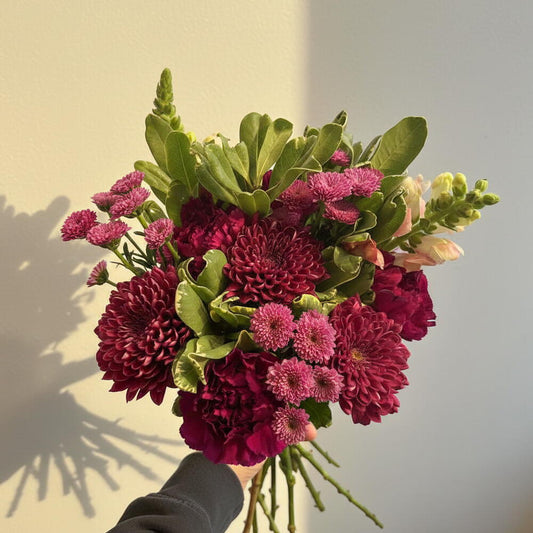 Colección Fitzrovia