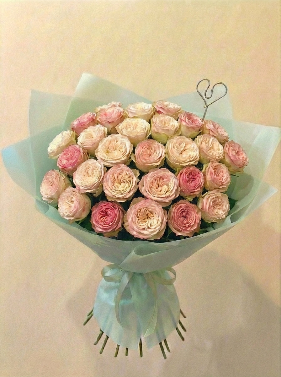 Rosas de Jardín "Felicity"