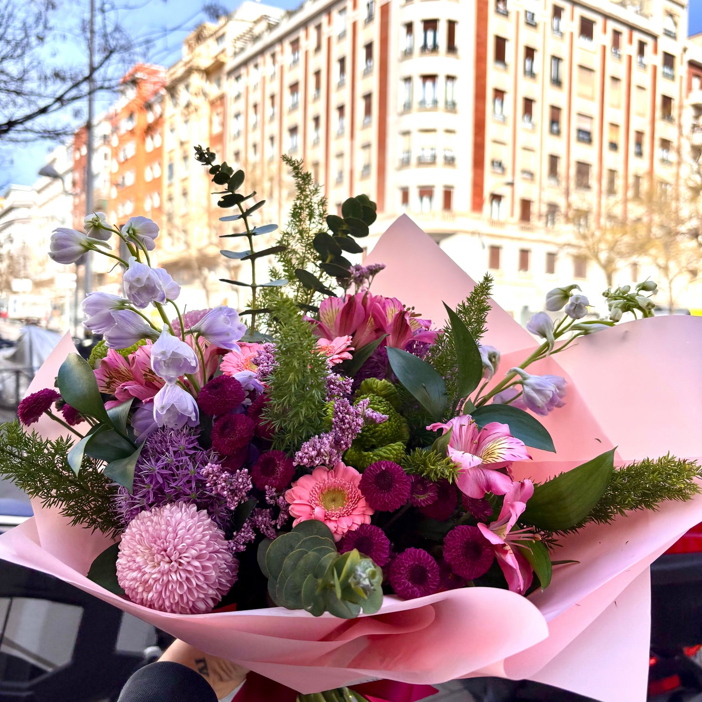 Colección Paddington