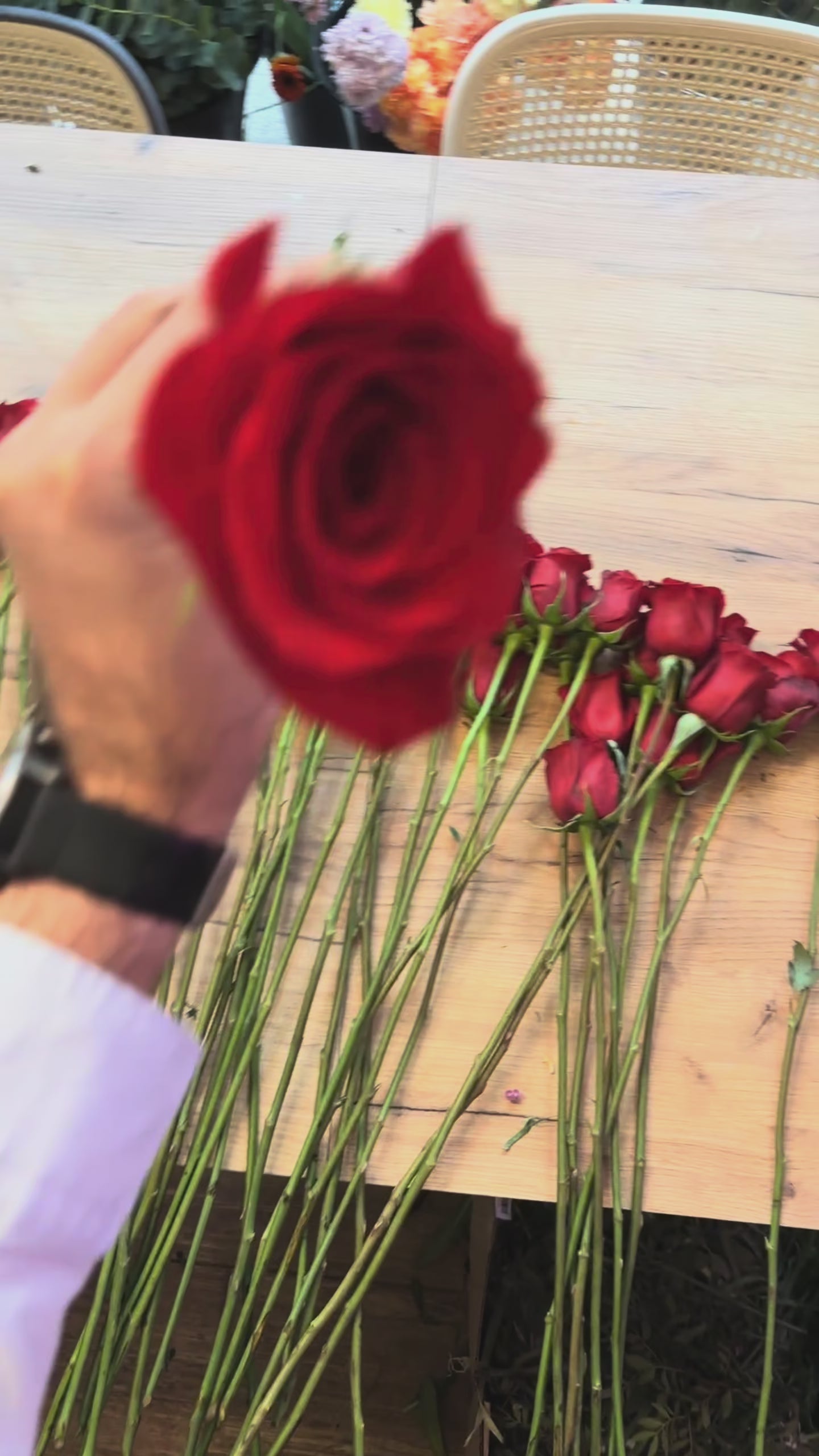 Rosas Rojas Frescas Madrid centro Lumea Blooms