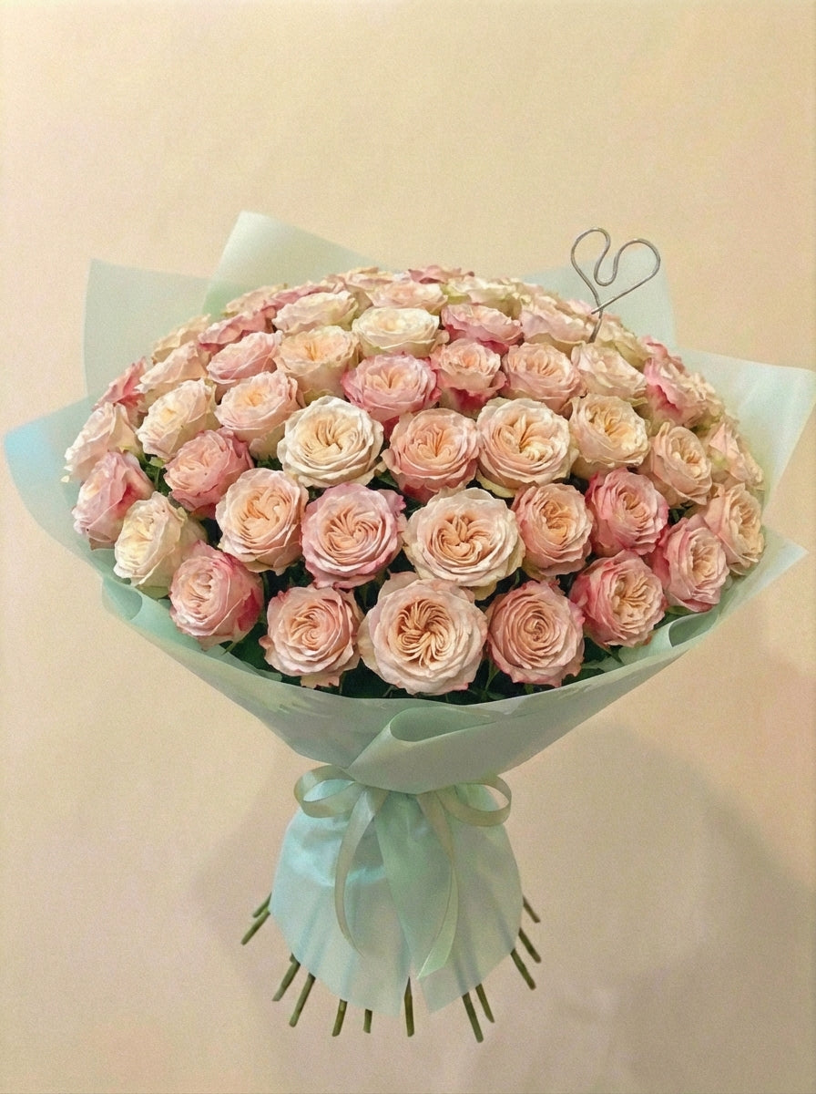 Rosas de Jardín "Felicity"