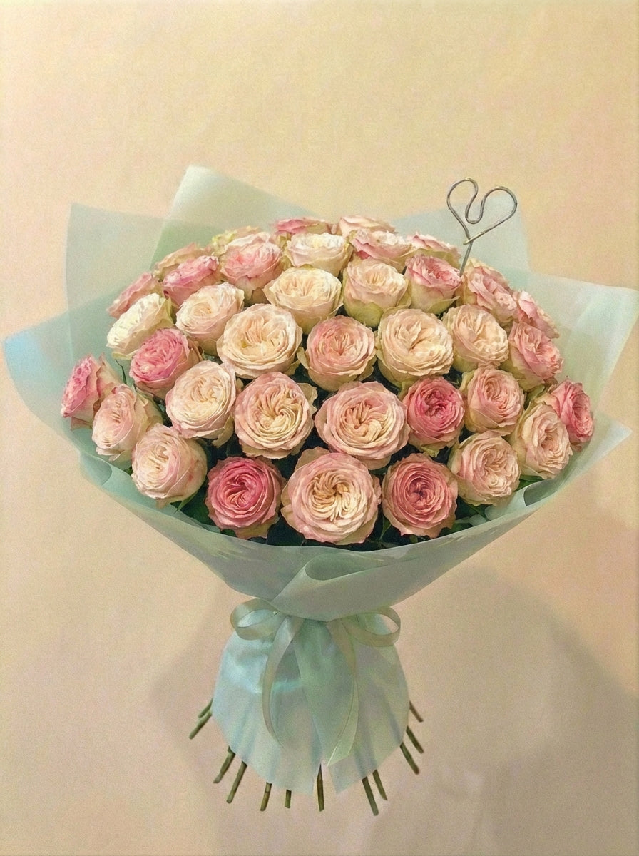 Rosas de Jardín "Felicity"