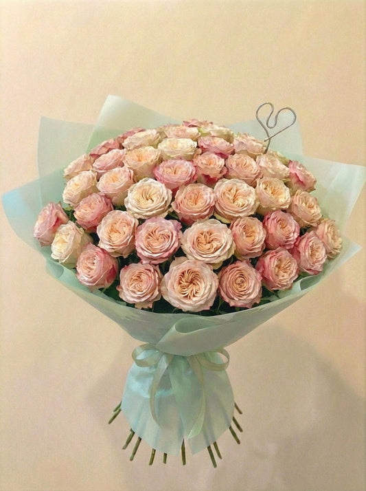 Rosas de Jardín "Felicity"